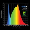 HLG 100 4000K - LED horticultural panel - Samsung LM301H LEDs - Comes with EU plug Horticulture Lighting Group - 4