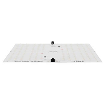 QB 100 Rspec - Quantum Board Blüte und Vollzyklus