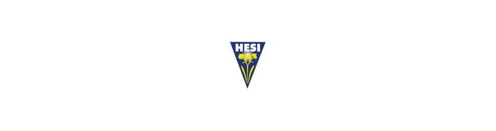 Hesi