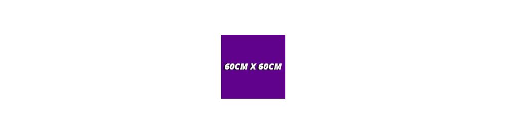 60cm x 60cm