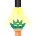 COB Pflanzen-LED