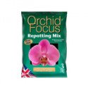 Terreaux orquídeas