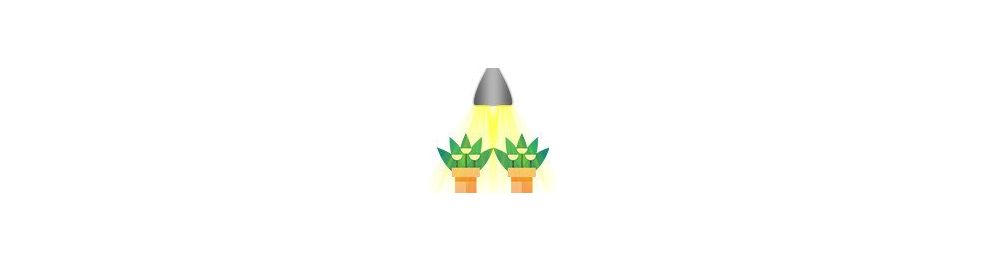 Ampoules