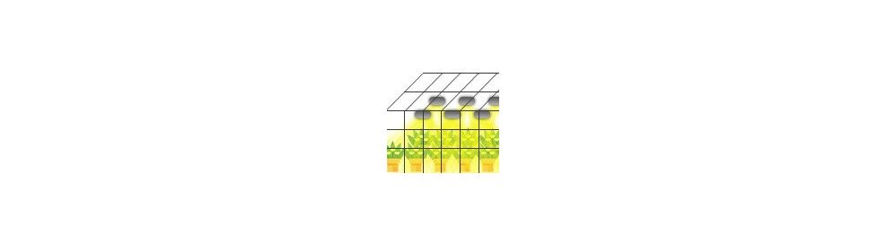 Greenhouse