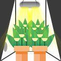 Grow Tents