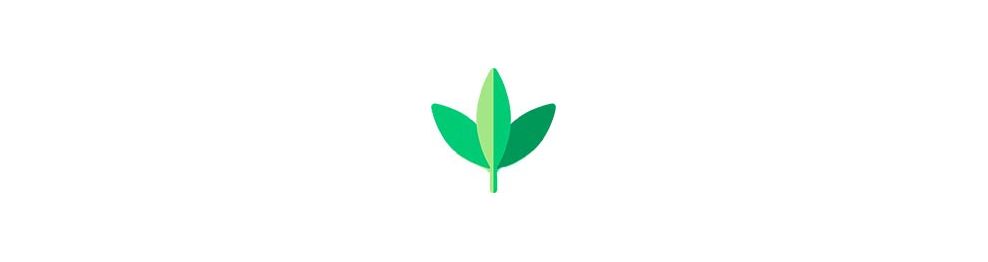 Therapeutic cannabis