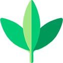 cannabis terapéutico