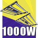 1000 W