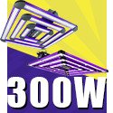 300W