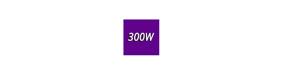 300 - 400 Watts