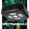 SpectraMODUL