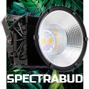 EspectroBUD