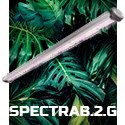 espectrosb2g