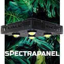 EspectroPANEL