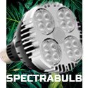 SpectraBULB