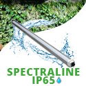 IP65