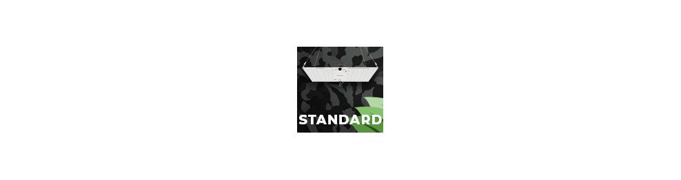 Gamme standard