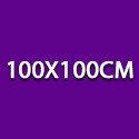 100 x 100