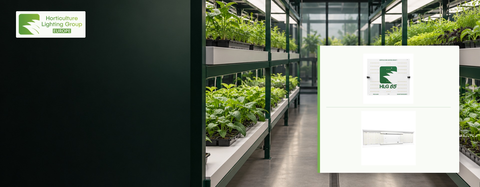 Éclairage de croissance : HLG 65 V2 ou HLG 250 Veg Pro ? Éclairage de croissance : HLG 65 V2 ou HLG 250 Veg Pro ?