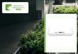 HLG 350 Diablo ou 750 Diablo : comment dimensionner son éclairage ?