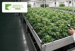 PPF, PPFD, efficacité et DLI : comprendre les chiffres d’une lampe horticole