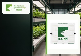Éclairage de croissance : HLG 65 V2 ou HLG 250 Veg Pro ?
