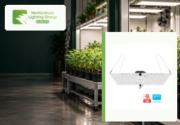 HLG 100 V2 : comment choisir entre 4000 K et Rspec ?