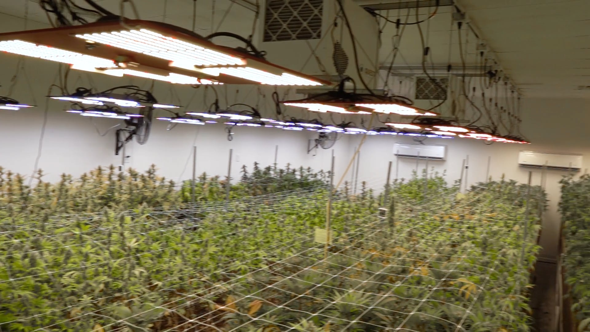 Instalación de Flow Gardens presentada por HLG