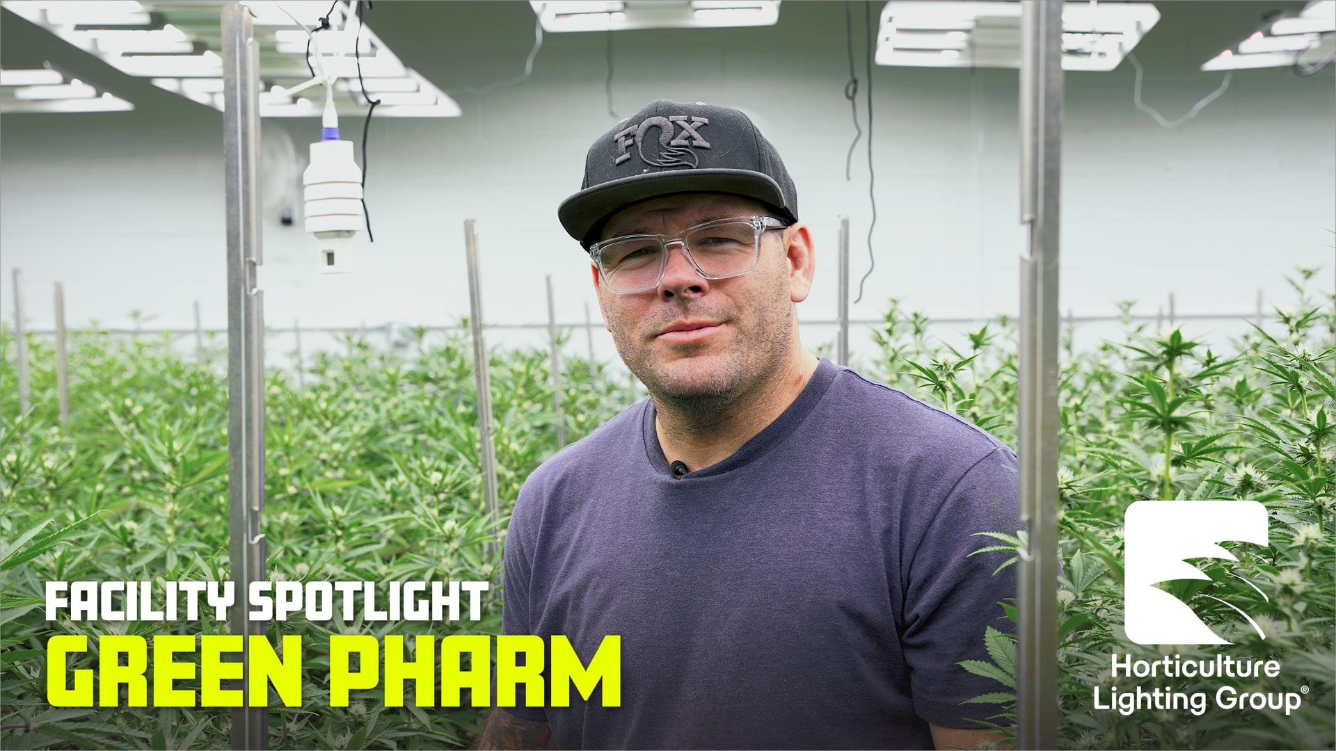 Green Pharm : un cultivateur devant ses cultures et ses lampes HLG